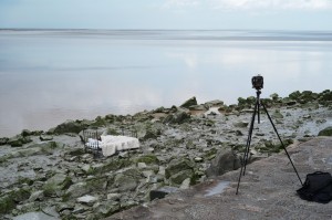 Atelier "La nuit je" de la Cie l'Insomnante au Mont Saint Michel le 29 mai 2018