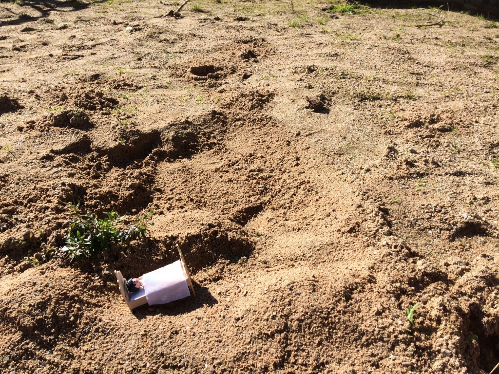 playmo dans le désert