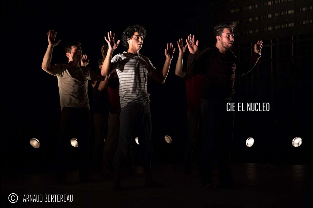 APERCU DU SPECTACLE A.N(12)