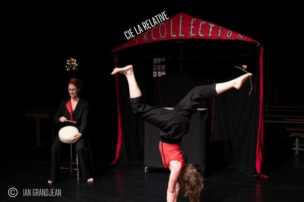 APERCU DU SPECTACLE A.N(9)